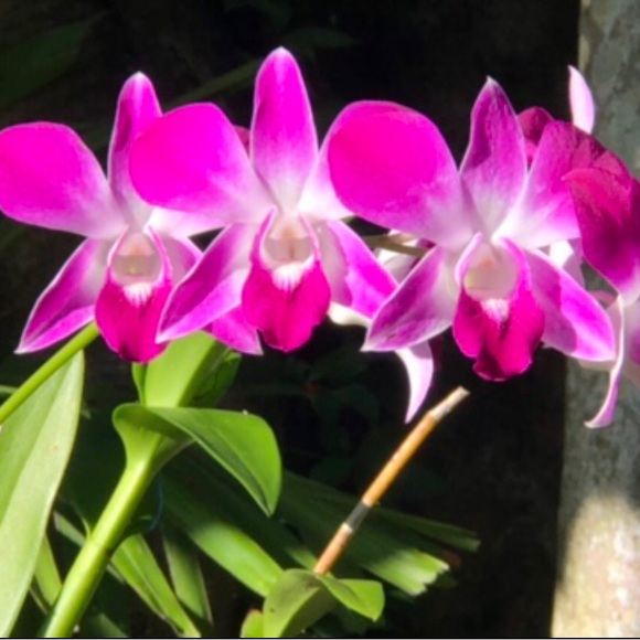 Meet your Posher, Shannon - Picture 16 of 16